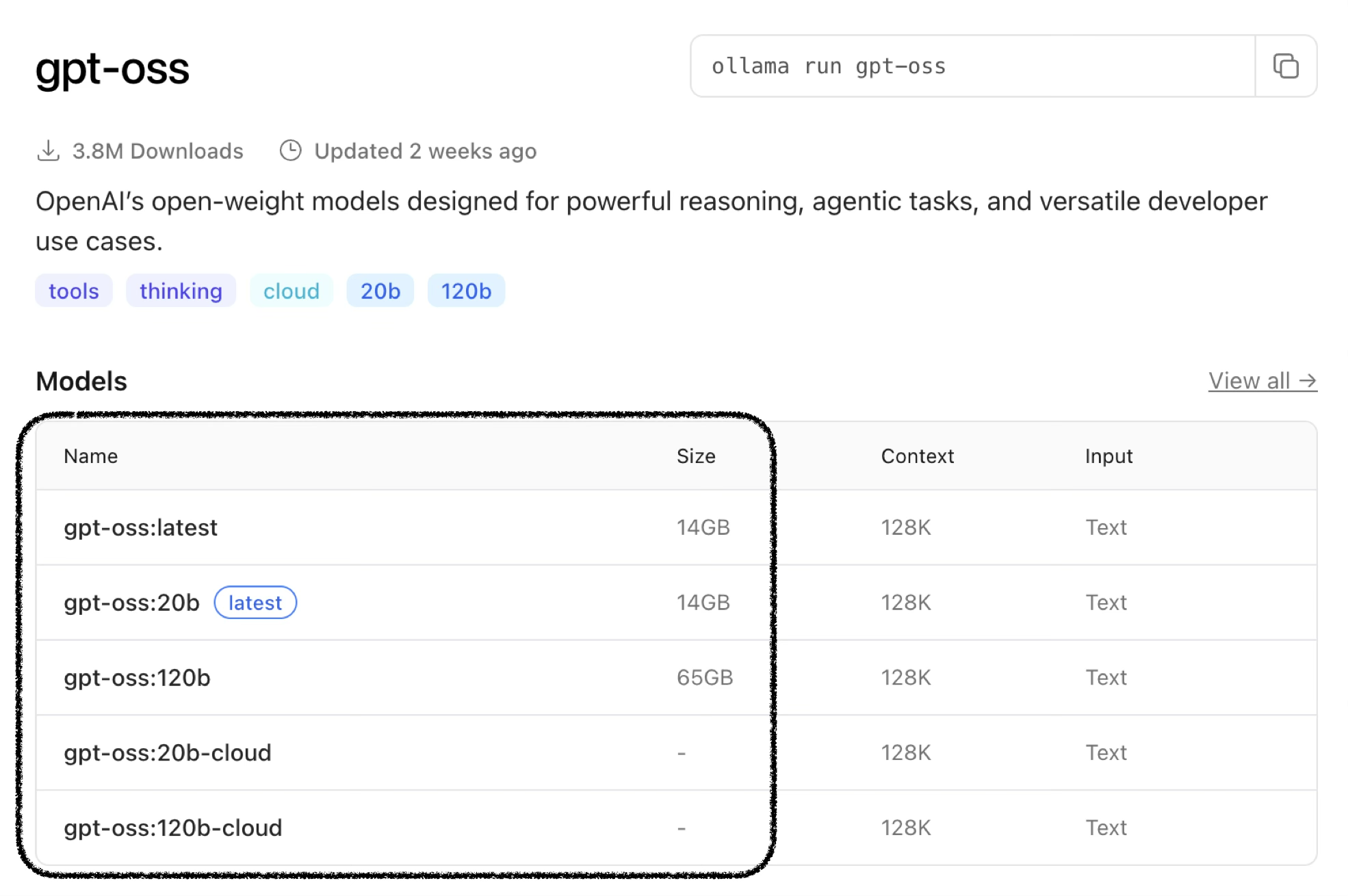 GPT OSS Example
